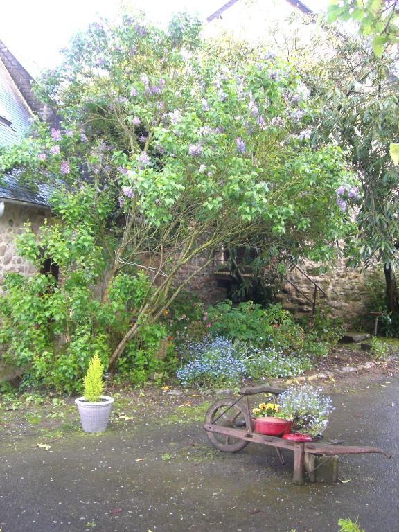 Gites De La Ferme Auberge De Mesauboin Billé Εξωτερικό φωτογραφία